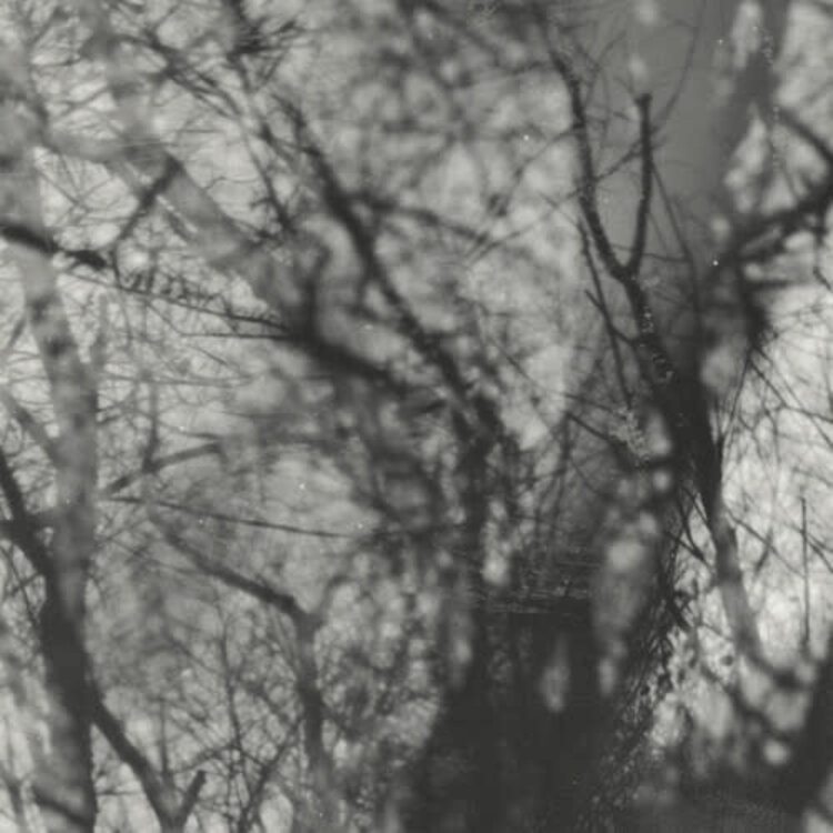 Grouper - Way Their Crept LP