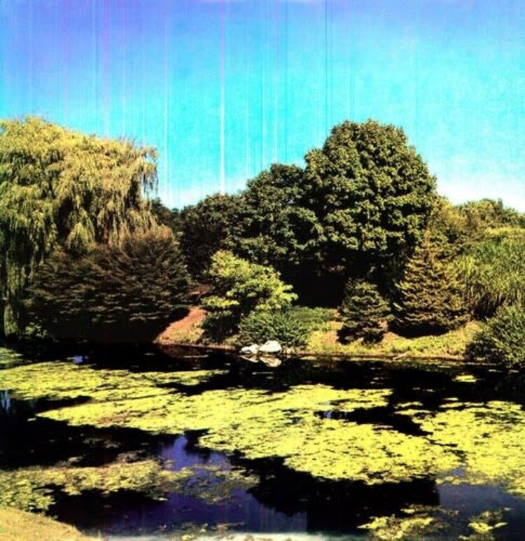 Touch and Go Shellac - Terraform LP (180g)