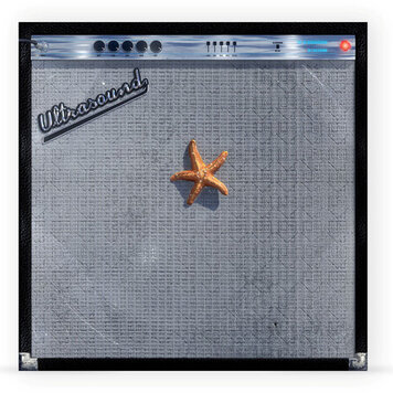 Neighbourhood, The - (((((Ultrasound)))))+ 2LP (orange vinyl)