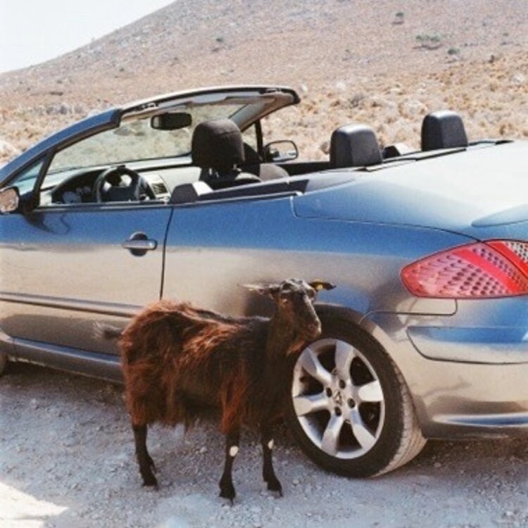 DFA Ekek - Prove the Mountains Move LP