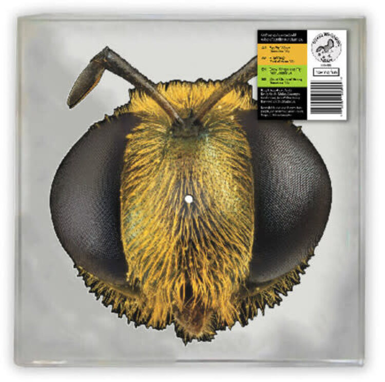 Pre-Order - King Gizzard & The Lizard Wizard - Big Fig Wasp (BEE/BUG SHAPED vinyl) LP