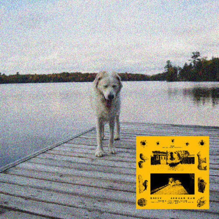 Pre-Order - Jaguar Sun - Daisy (black/yellow vinyl) LP