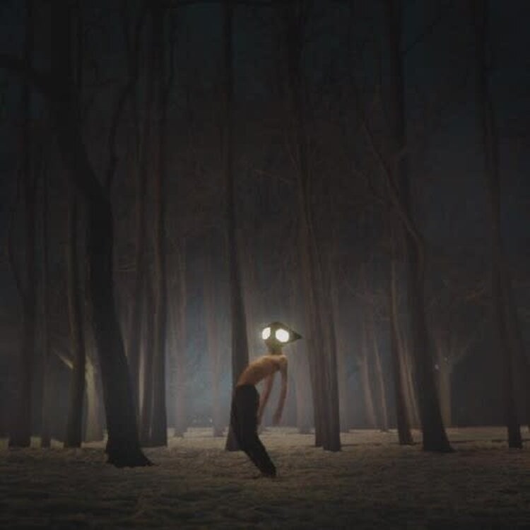 Partisan Geese - Projector LP