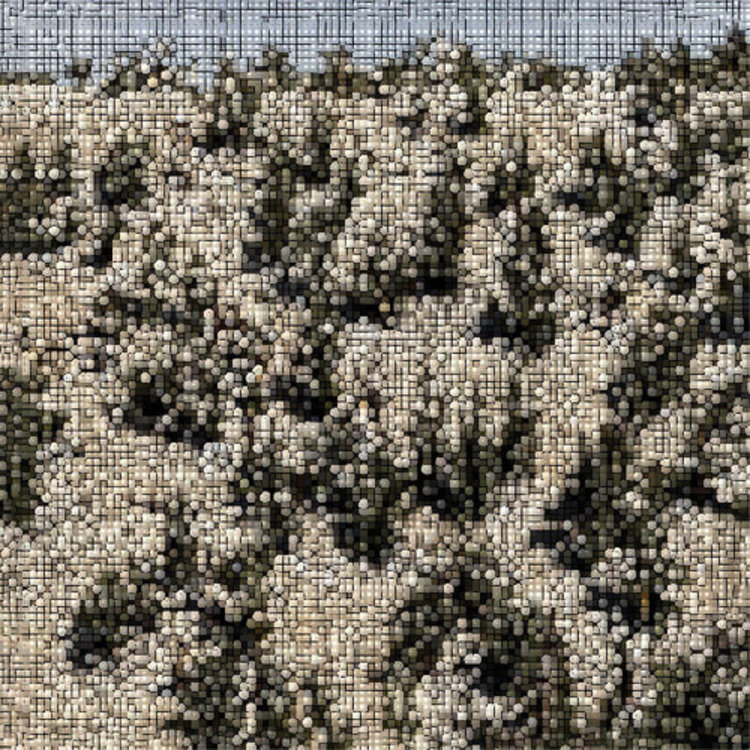 International Anthem Uhlmann, Gregory - Extra Stars LP (star dust vinyl)