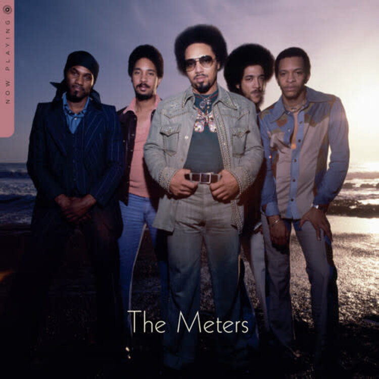 Warner Meters, The - Now Playing LP