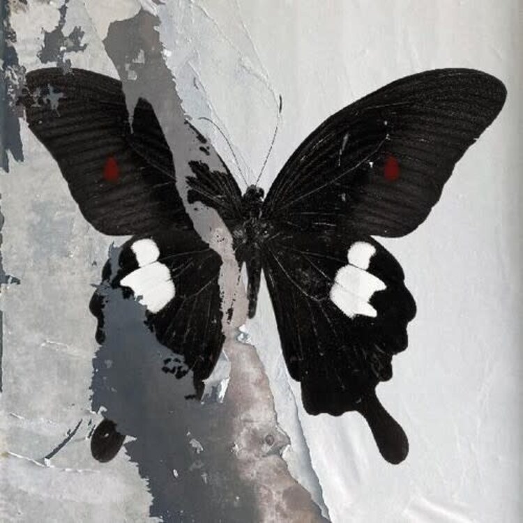 Death Cult - Paradise Now LP (clear w/splatter vinyl)