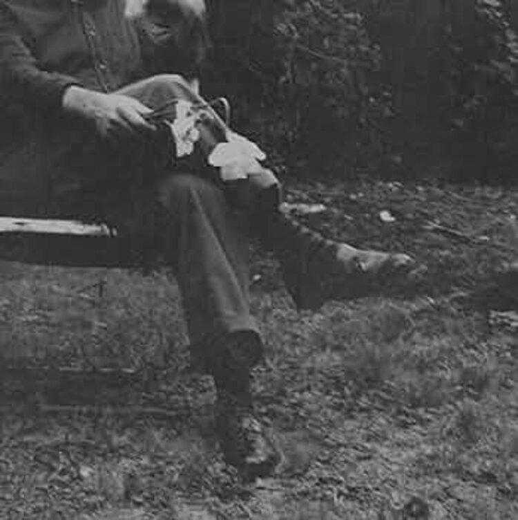 MCA Nashville Needtobreathe - The Long Surrender LP