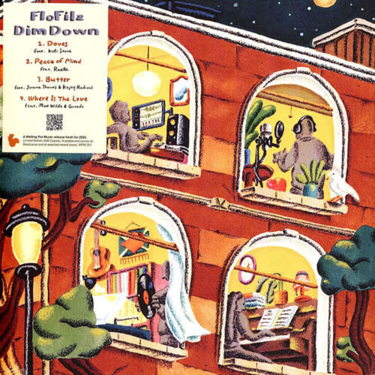 Flofilz - Dim Down 10" LP