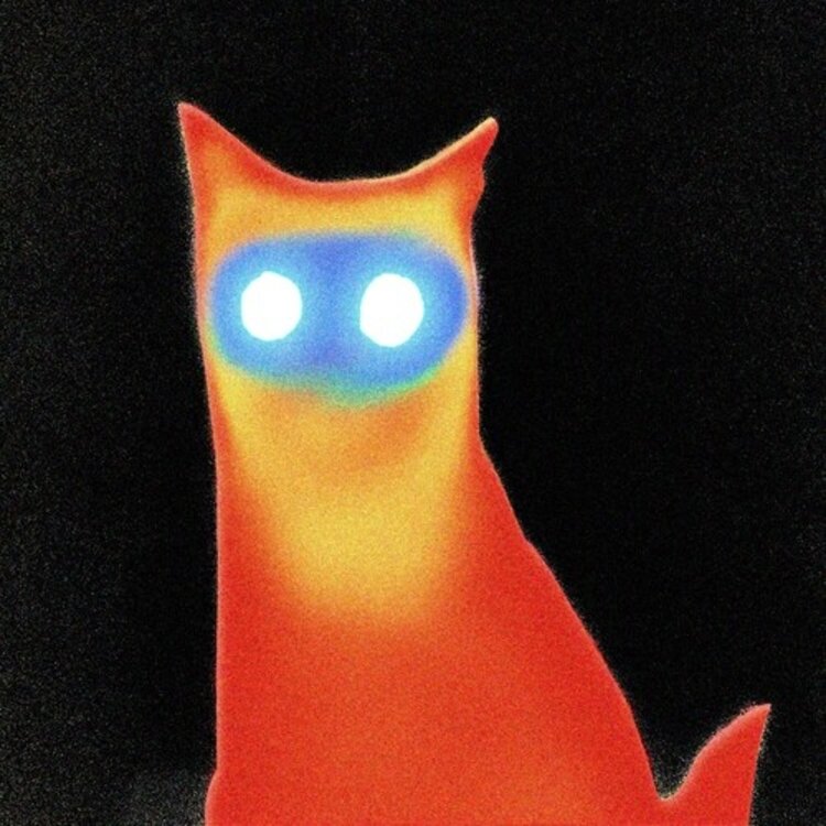 Pre-Order - Basement - Wired LP (coke bottle vinyl)