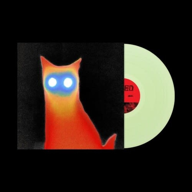 Basement - Wired LP (coke bottle vinyl)