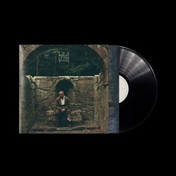 Interscope Kennedy, Dermot - The Weight of the Woods LP