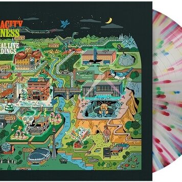 Rise Records PUP - Megacity Madness (The Official Live Recordings) LP (skittles color vinyl)