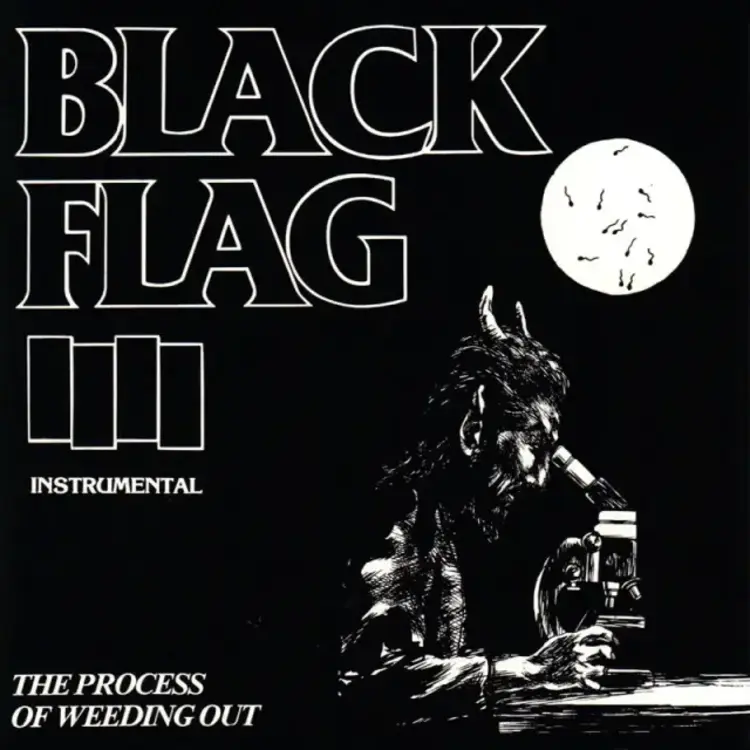SST Black Flag - The Process of Weeding Out LP