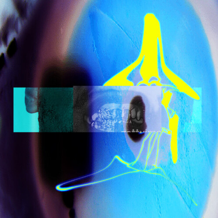 ELUCID & Sebb Bash - I Guess U Had to Be There LP (clear vinyl)