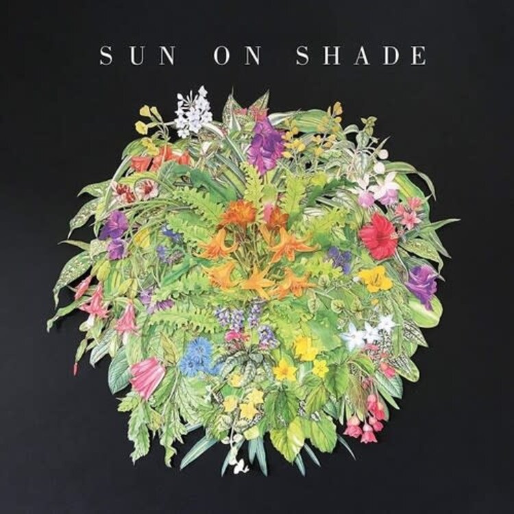 ATO Sun On Shade - S/T   LP