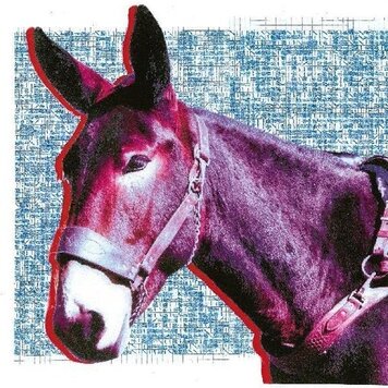 Domino Protomartyr - Ultimate Success Today LP