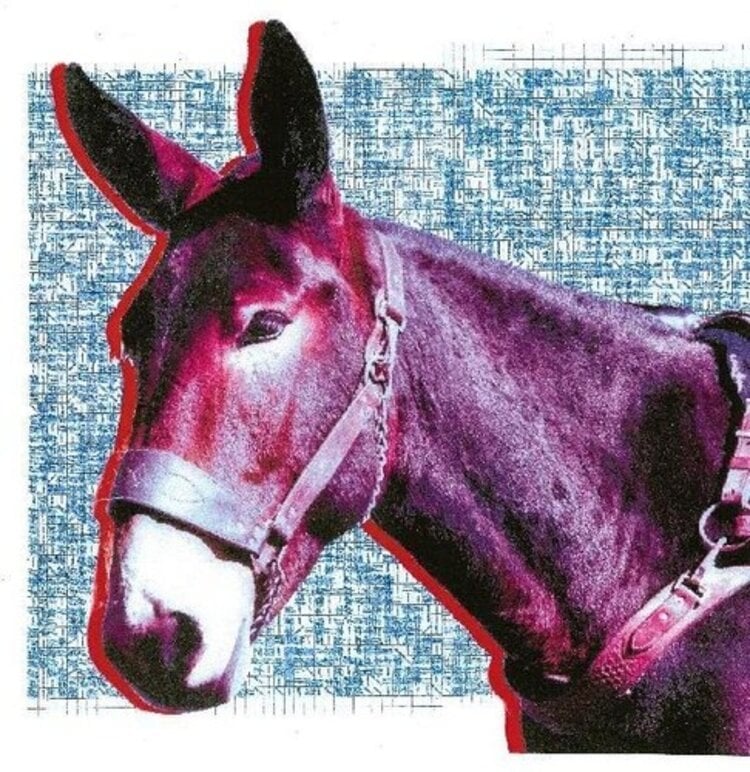 Domino Protomartyr - Ultimate Success Today LP