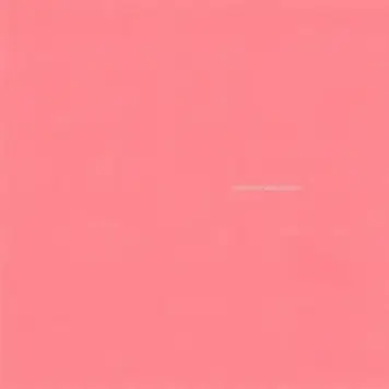Sub Pop Sunny Day Real Estate - LP2 2LP (bonus tracks)