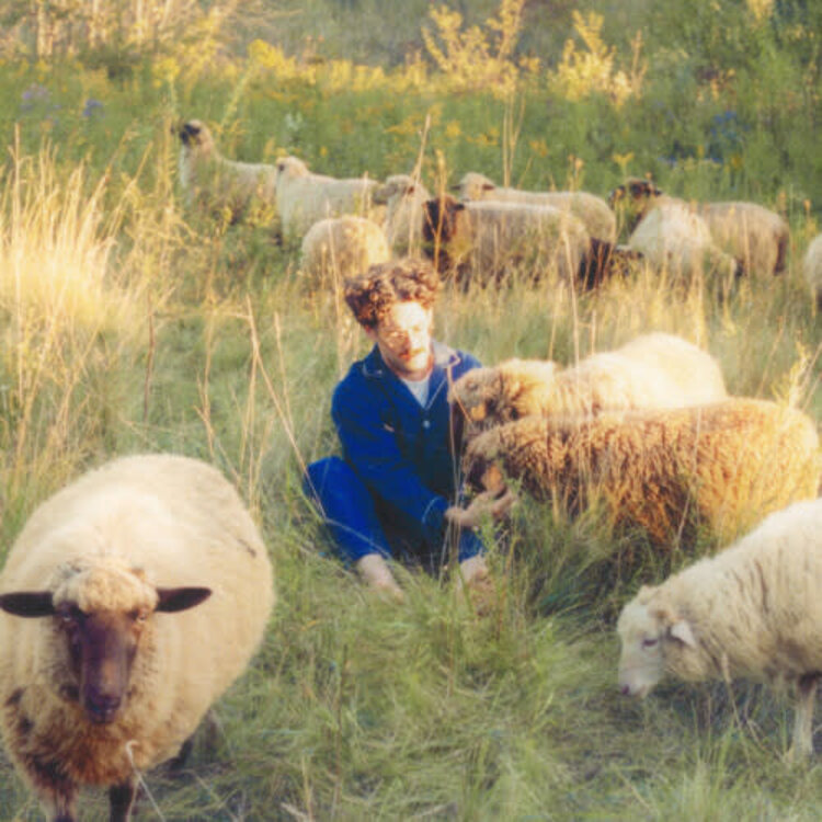 L'Univers Resavoir - Themes for Dreams LP