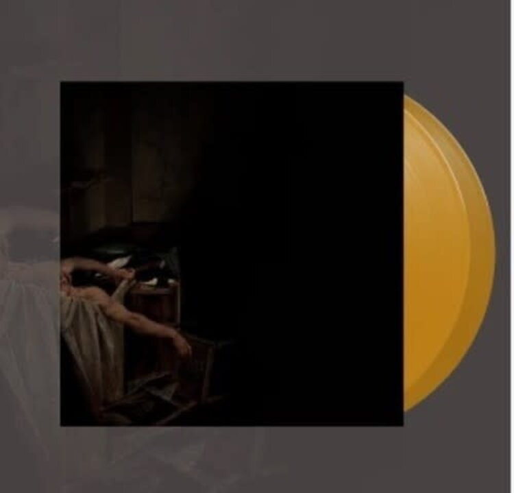 Flenser Have a Nice Life - Voids 2LP (orange vinyl)