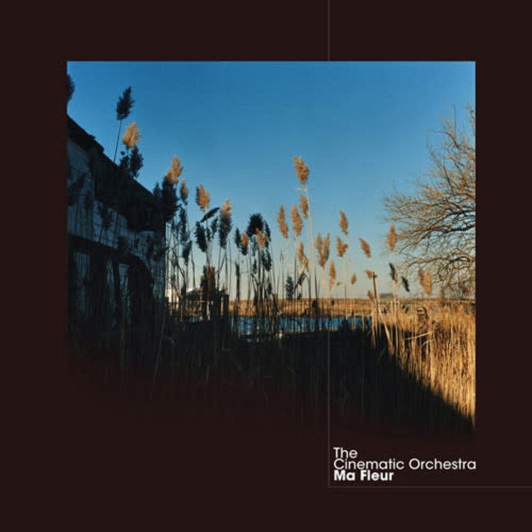 Domino Cinematic Orchestra, The - Ma Fleur 2LP