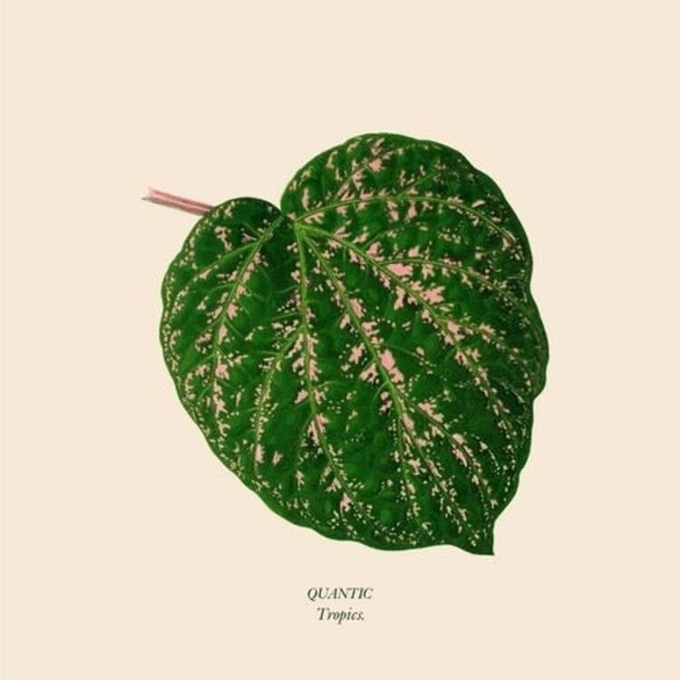 Quantic - Tropics 12"