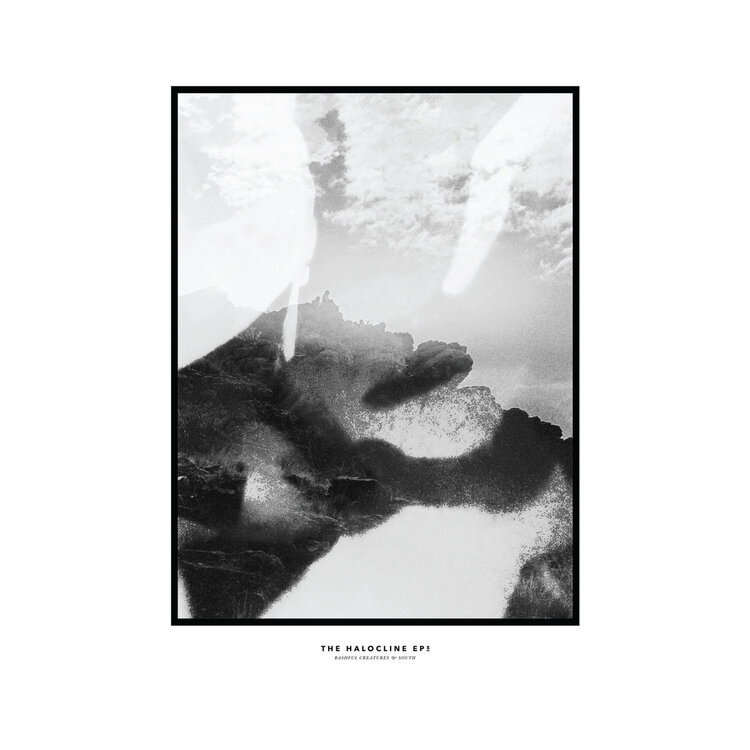 Grand Jury Hippo Campus - The Halocline EPs LP
