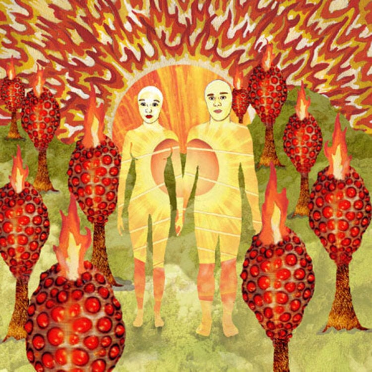 Polyvinyl Of Montreal - The Sunlandic Twins CD