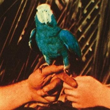 Loma Vista Bird, Andrew - Are you Serious LP