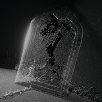 RVNG INTL. Visible Cloaks - Paradessence LP (silver vinyl)