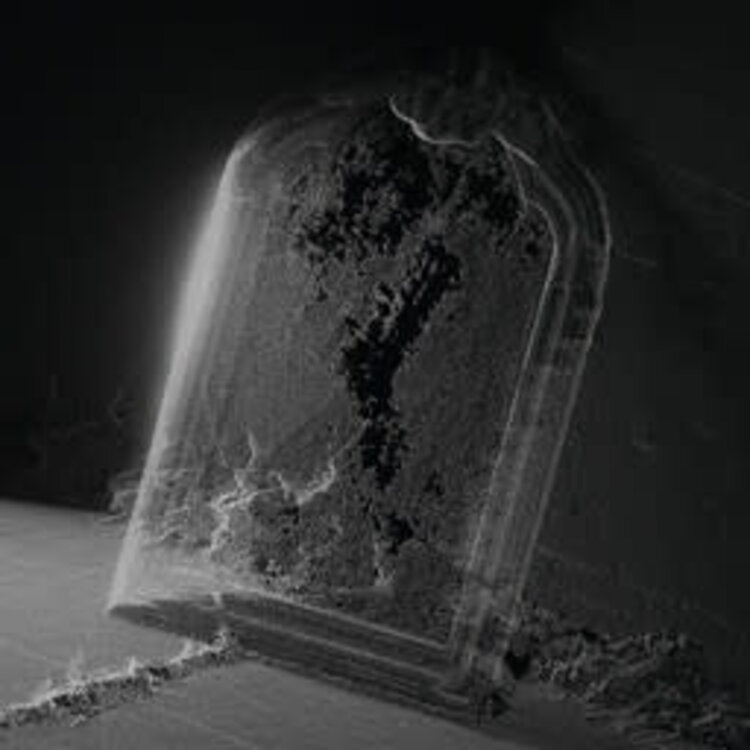 RVNG INTL. Visible Cloaks - Paradessence LP (silver vinyl)