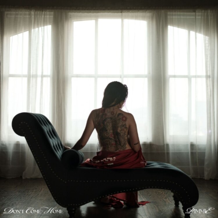 Pre-Order - Pimmie - Don't Come Home LP (red velvet vinyl)
