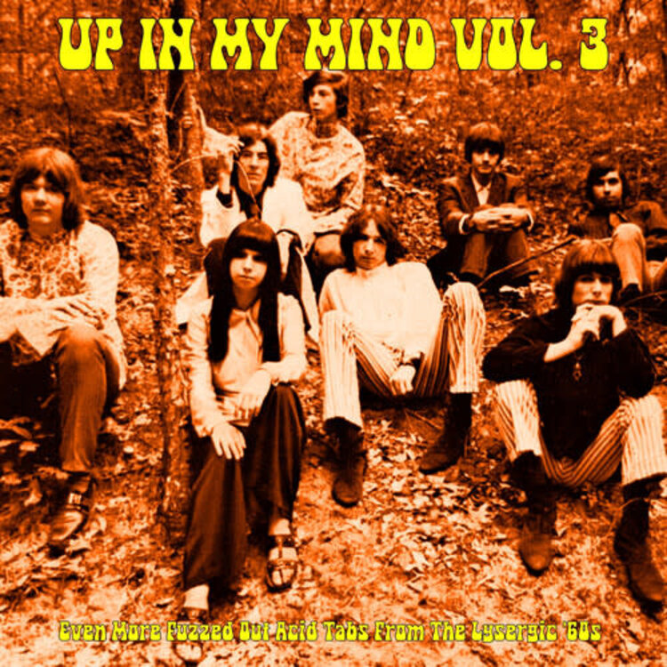 Various - Up In My Mind Vol. 3: Even More Fuzzed Out LP