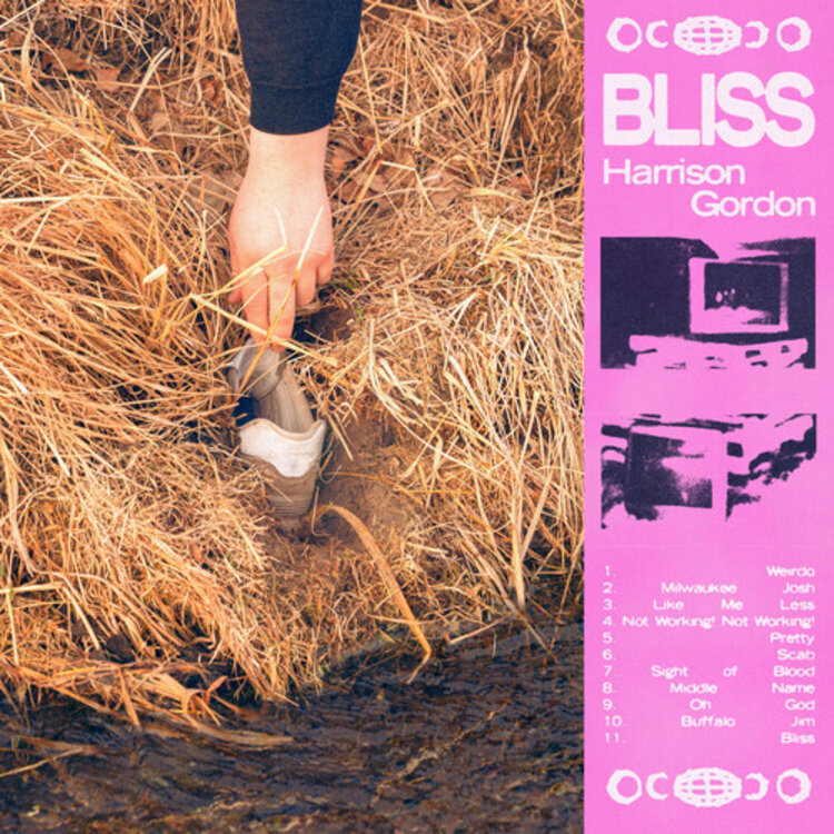 Hopeless Records Pre-Order - Gordon, Harrison - Bliss LP (violet & black stripes vinyl)