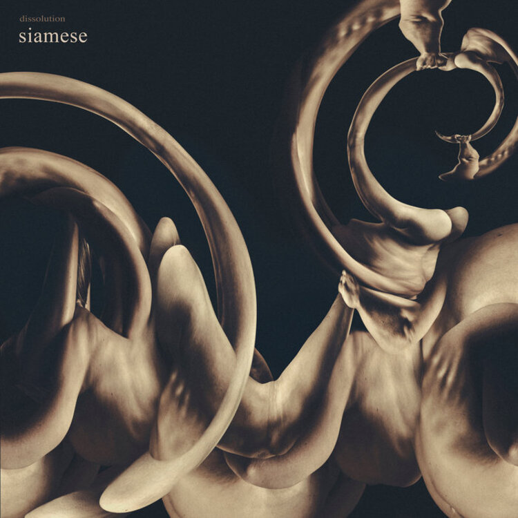 Long Branch Records Siamese - Dissolution LP (gold vinyl)