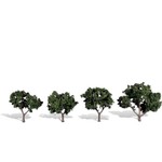 Woodland Scenics Cool Shade Tree 2-3"