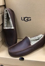 Ugg Ugg M Ascot Men's