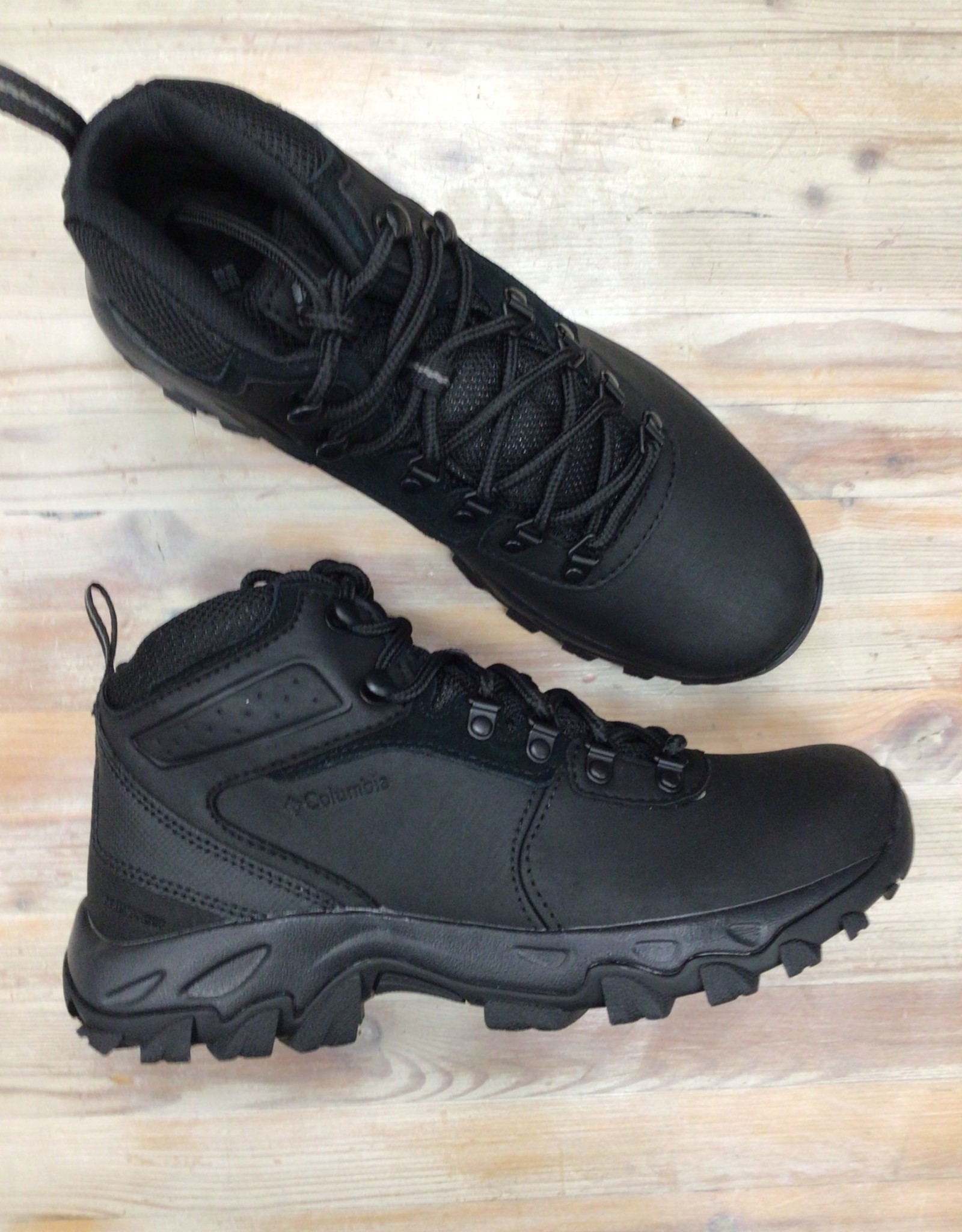 Men’s Newton Ridge™ Plus II Waterproof Hiking Boot