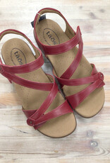 Taos Taos Big Time Ladies’