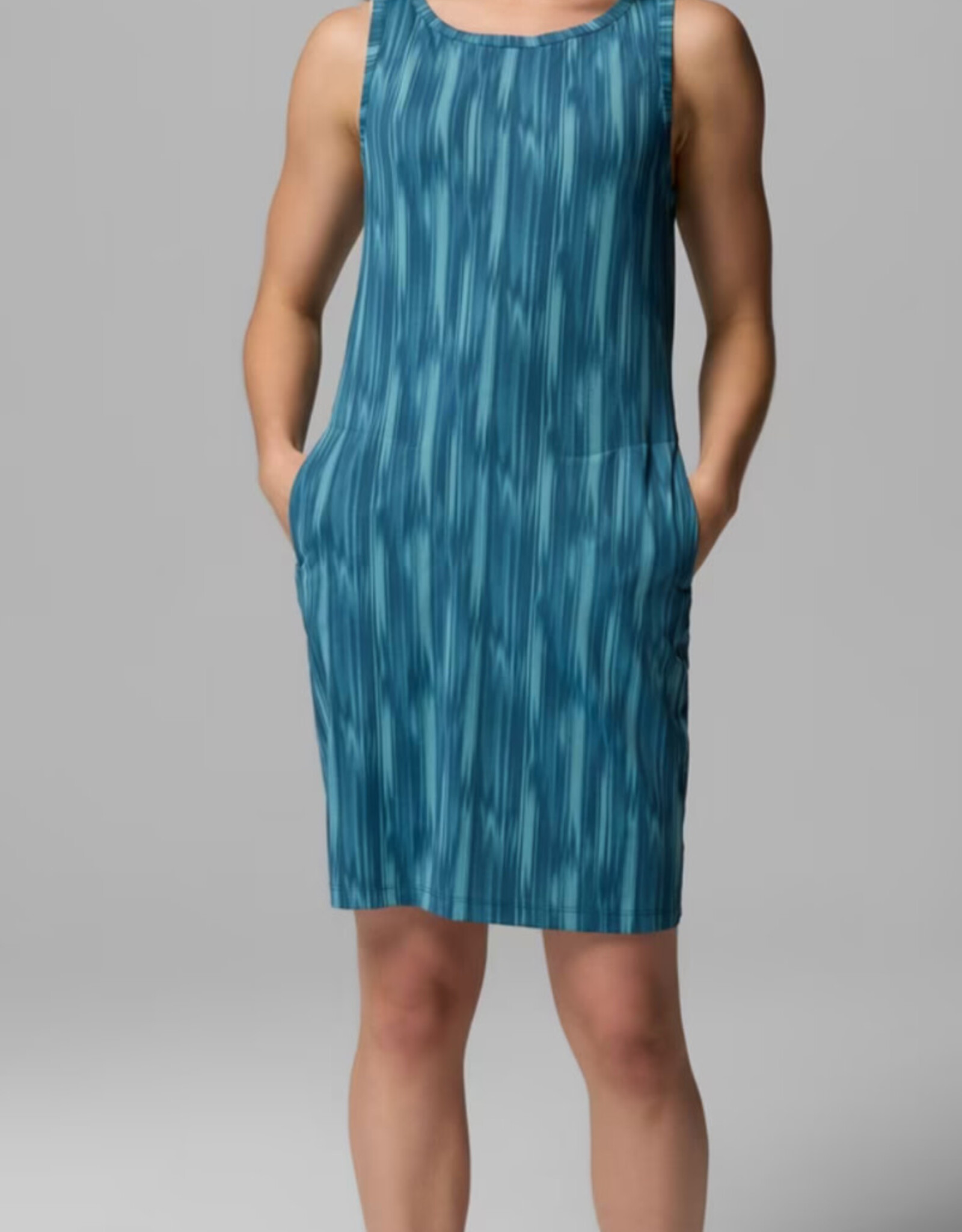 Columbia Columbia Chill River Printed Dress Ladies’