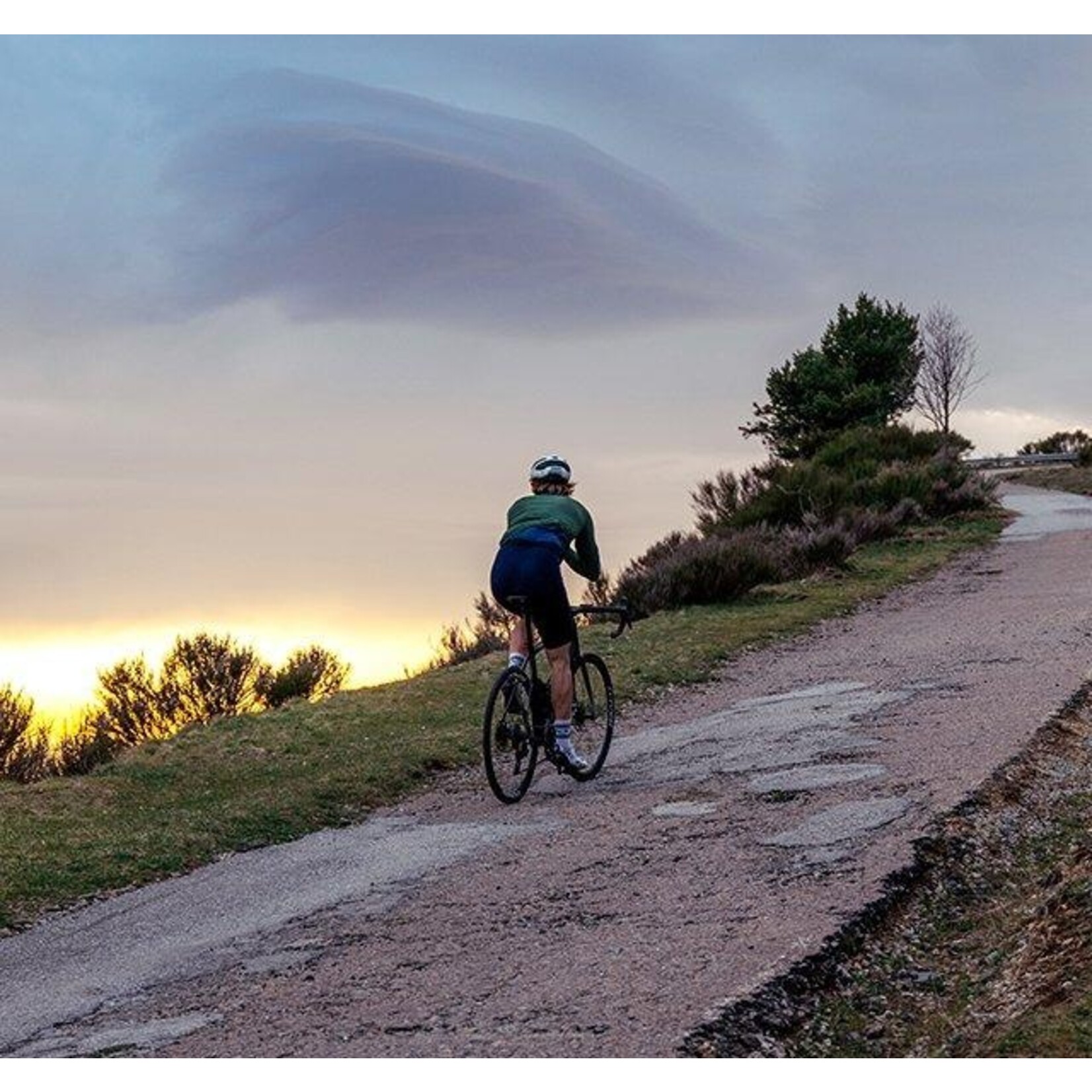 Specialized Roval Alpinist CL II