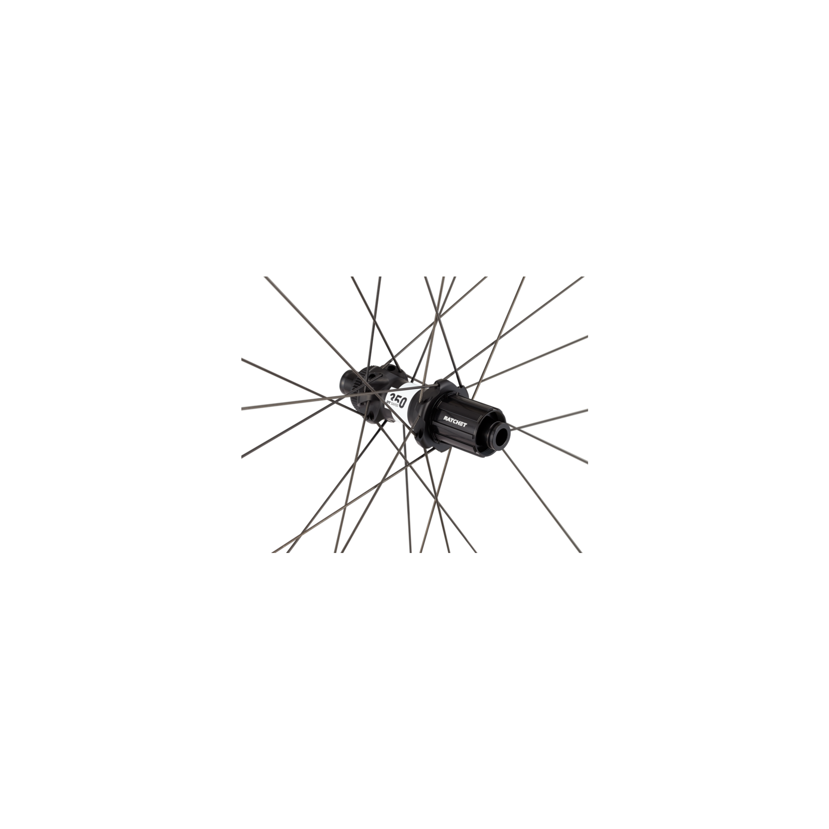 Roval Alpinist SLX Disc - Golden Sports Inc. Roval Alpinist SLX Disc - Golden Sports Inc.
