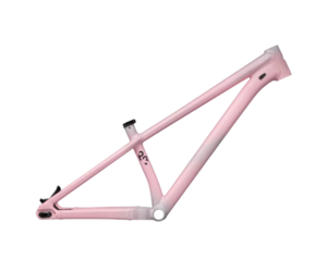 Specialized p3 frame shop