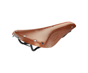 B17 - Golden Sports Inc.