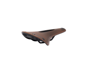C17 Carved - Golden Sports Inc.