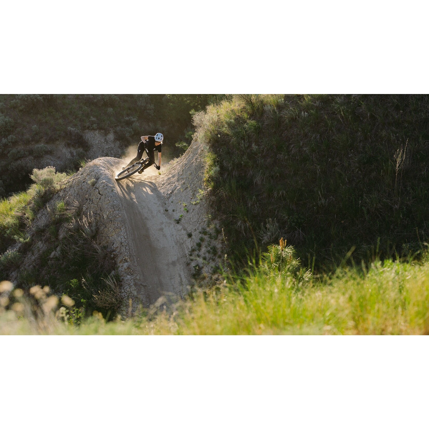 Specialized Cadre S-Works Stumpjumper 15