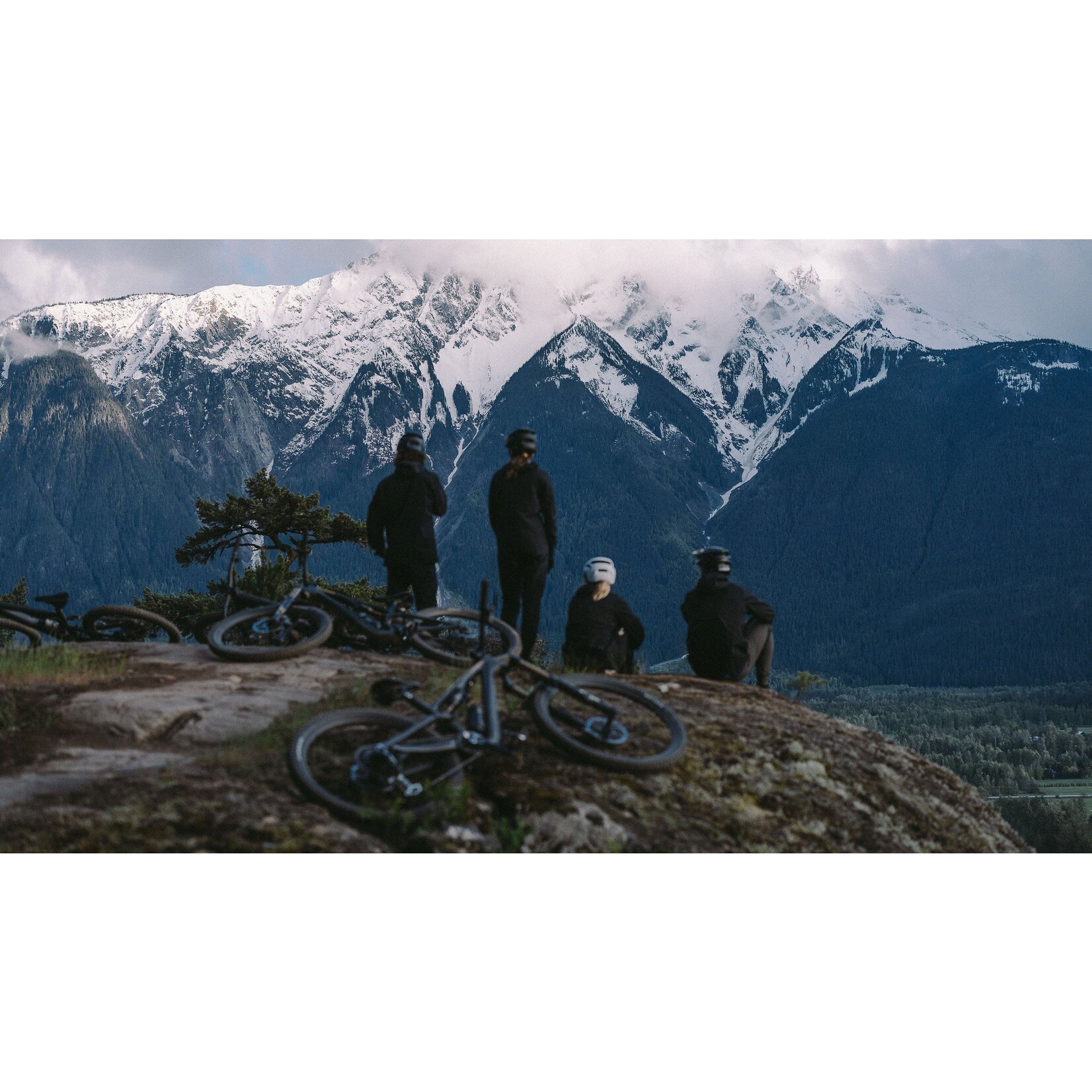 Specialized Cadre S-Works Stumpjumper 15