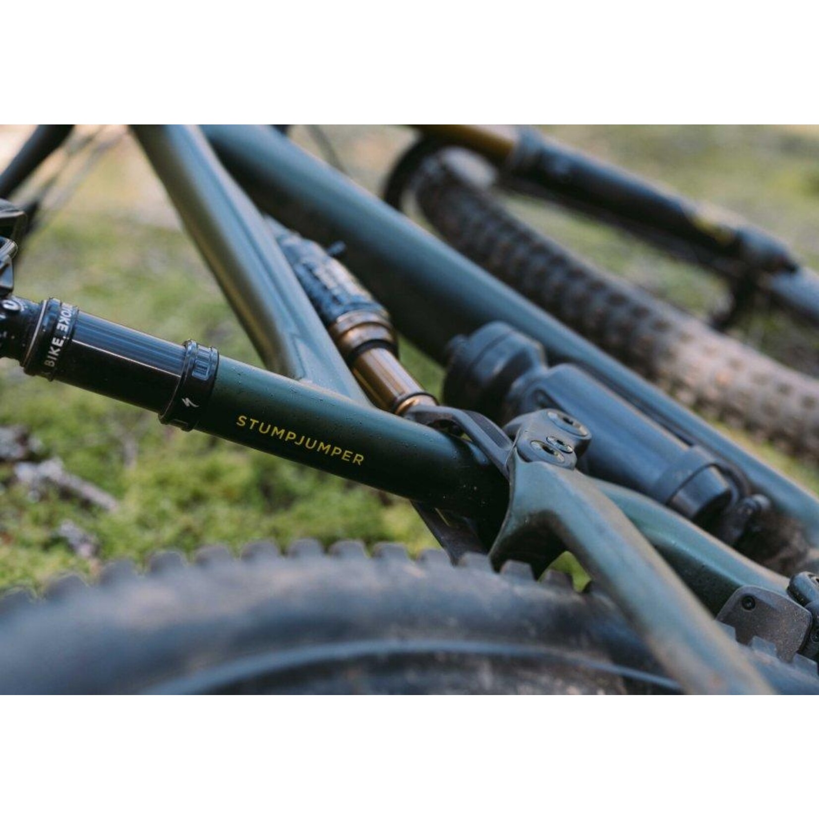 Specialized Cadre S-Works Stumpjumper 15