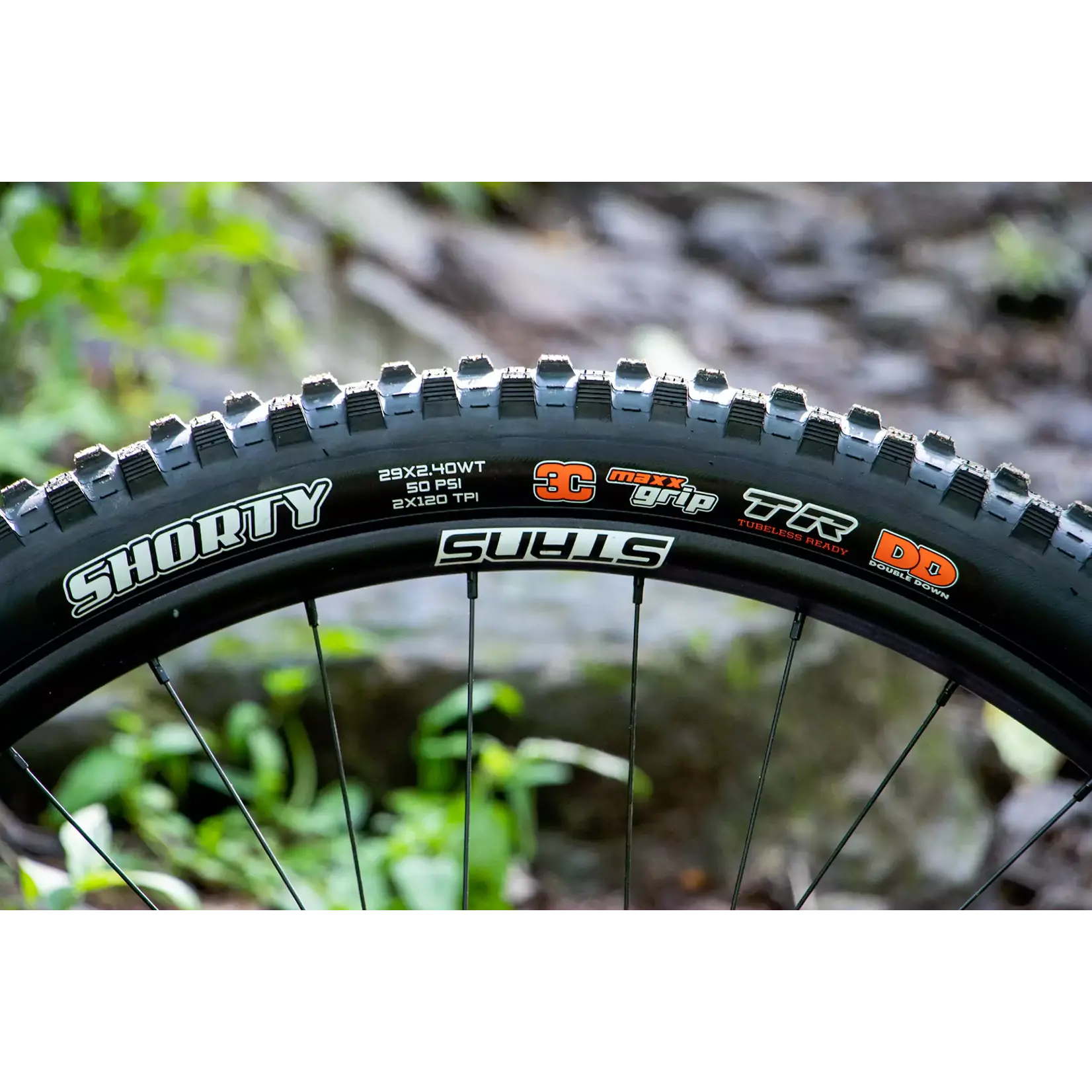 Maxxis Rambler