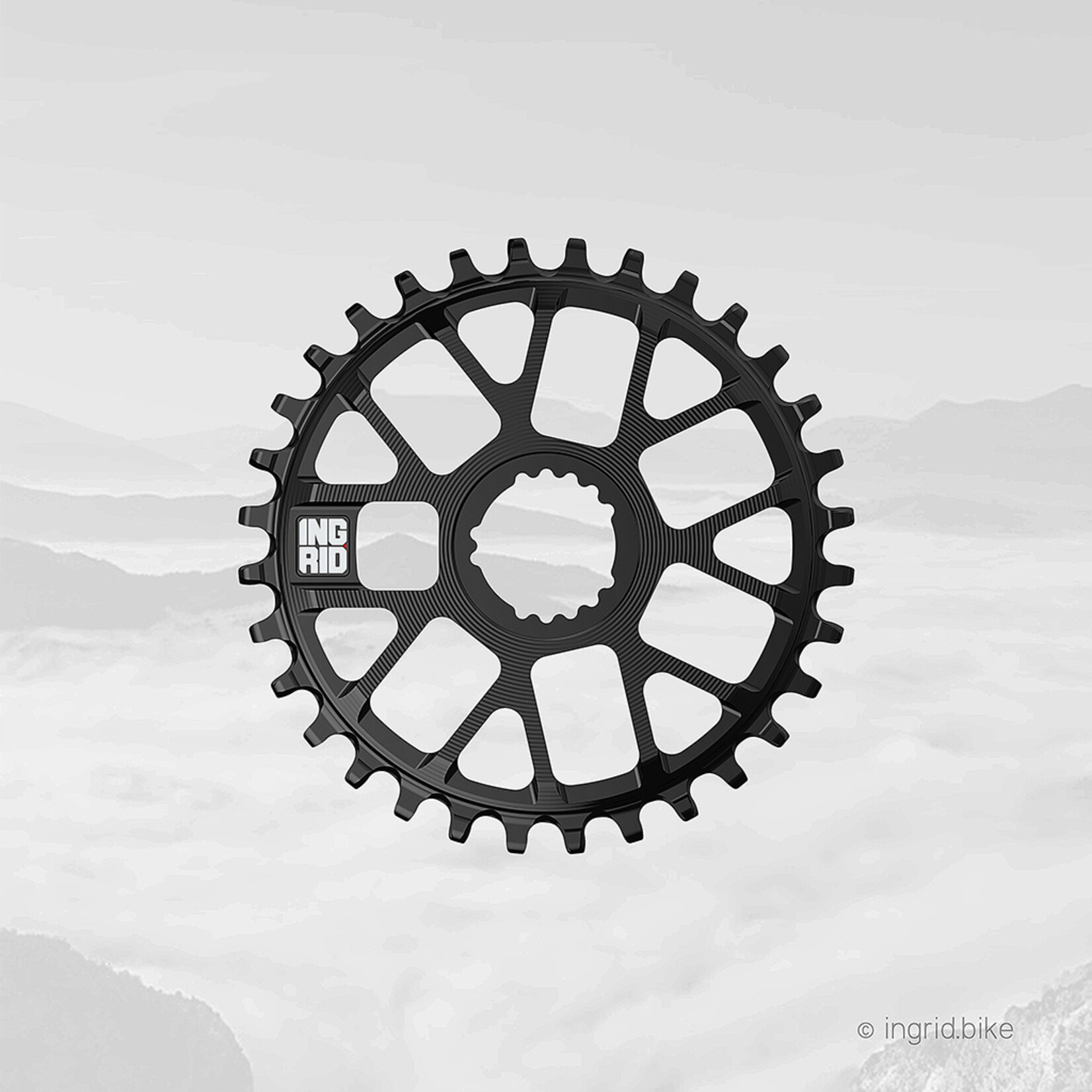 Ingrid Chainrings